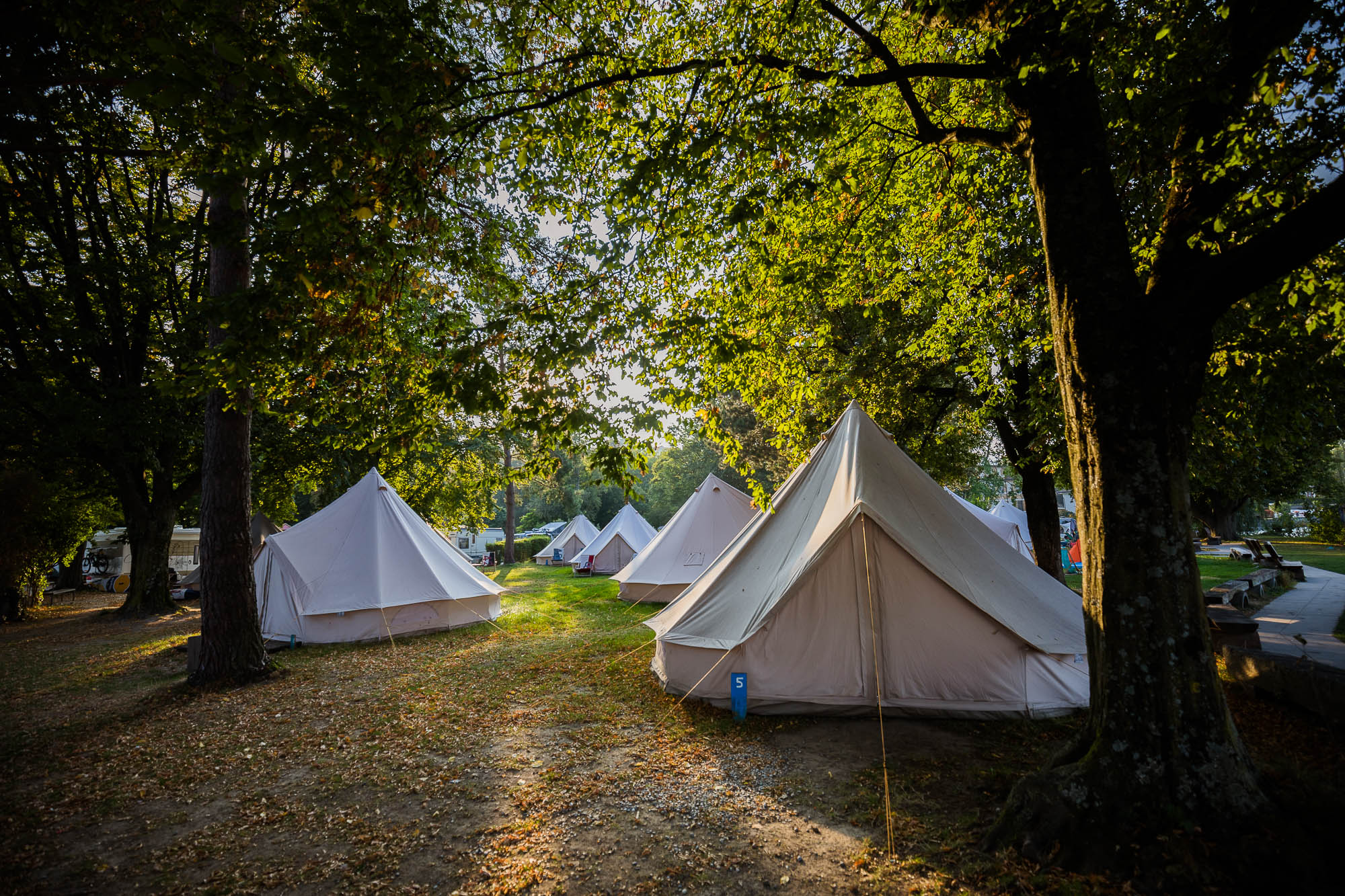 Export x3 5D4 5870 Hochzeit 2020 Chantale & Jürg